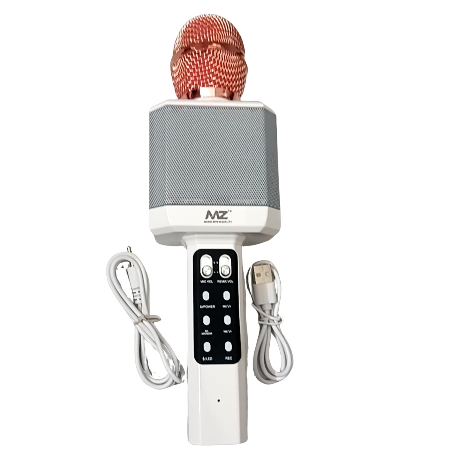 mic
